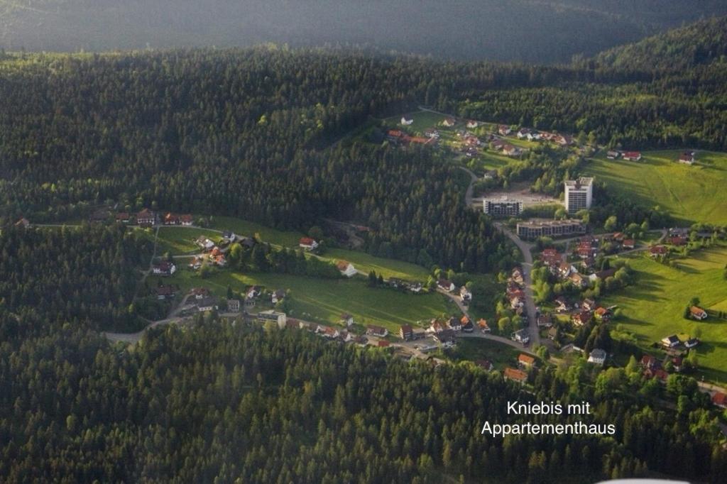 3- 2-1 - Raum - Dieter Hoffmann Freudenstadt-kniebis Beim Nationalpark * Freudenstadt