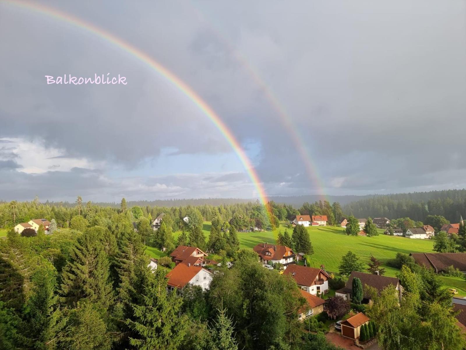 3- 2-1 - Raum - Dieter Hoffmann Freudenstadt-kniebis Beim Nationalpark