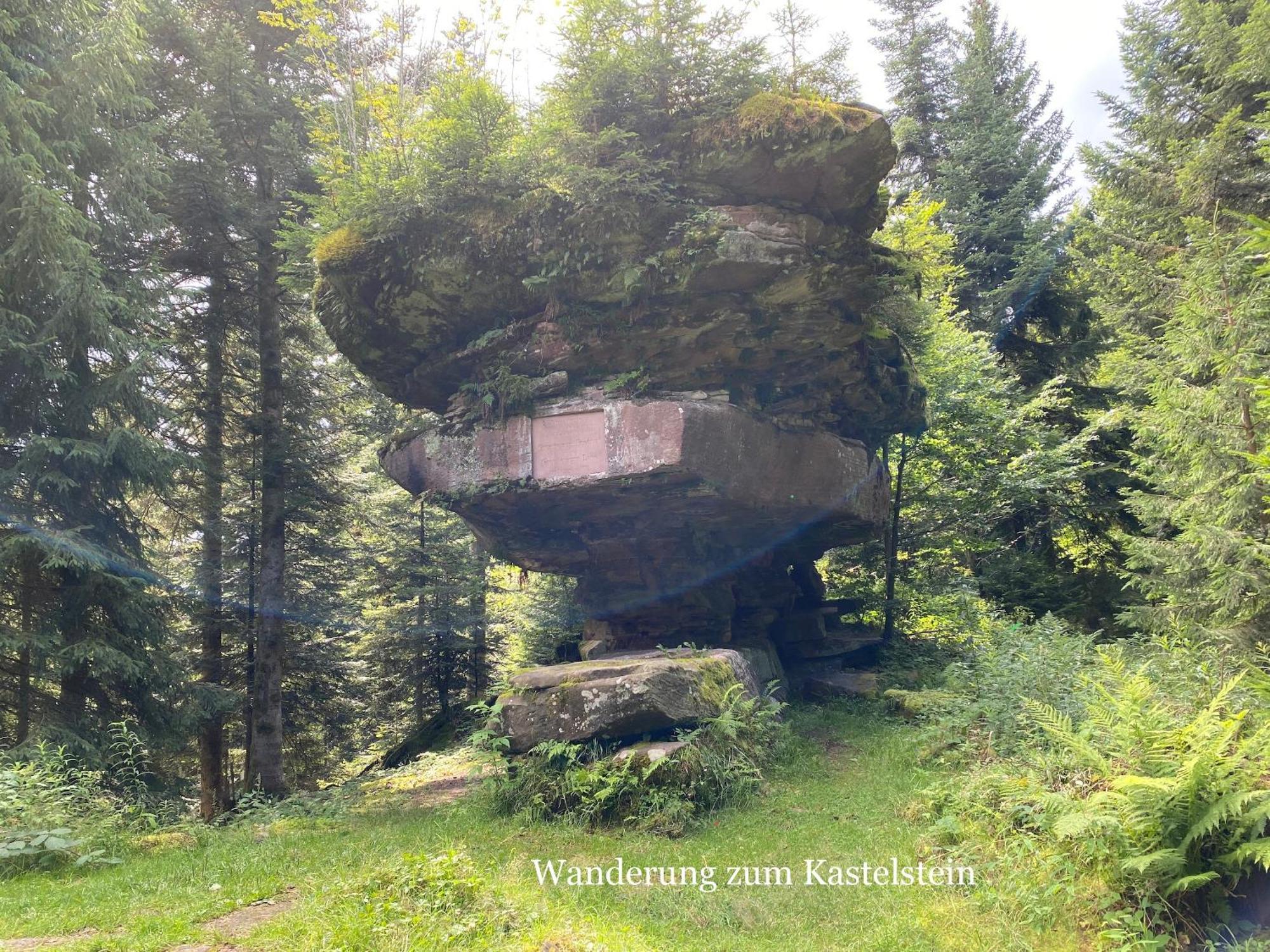 3- 2-1 - Raum - Dieter Hoffmann Freudenstadt-kniebis Beim Nationalpark *