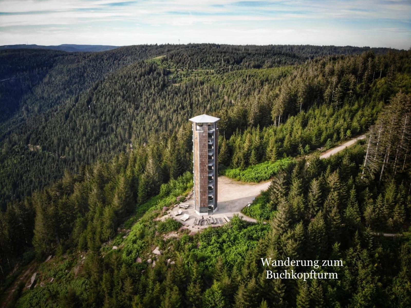 3- 2-1 - Raum - Dieter Hoffmann Freudenstadt-kniebis Beim Nationalpark Appartement *