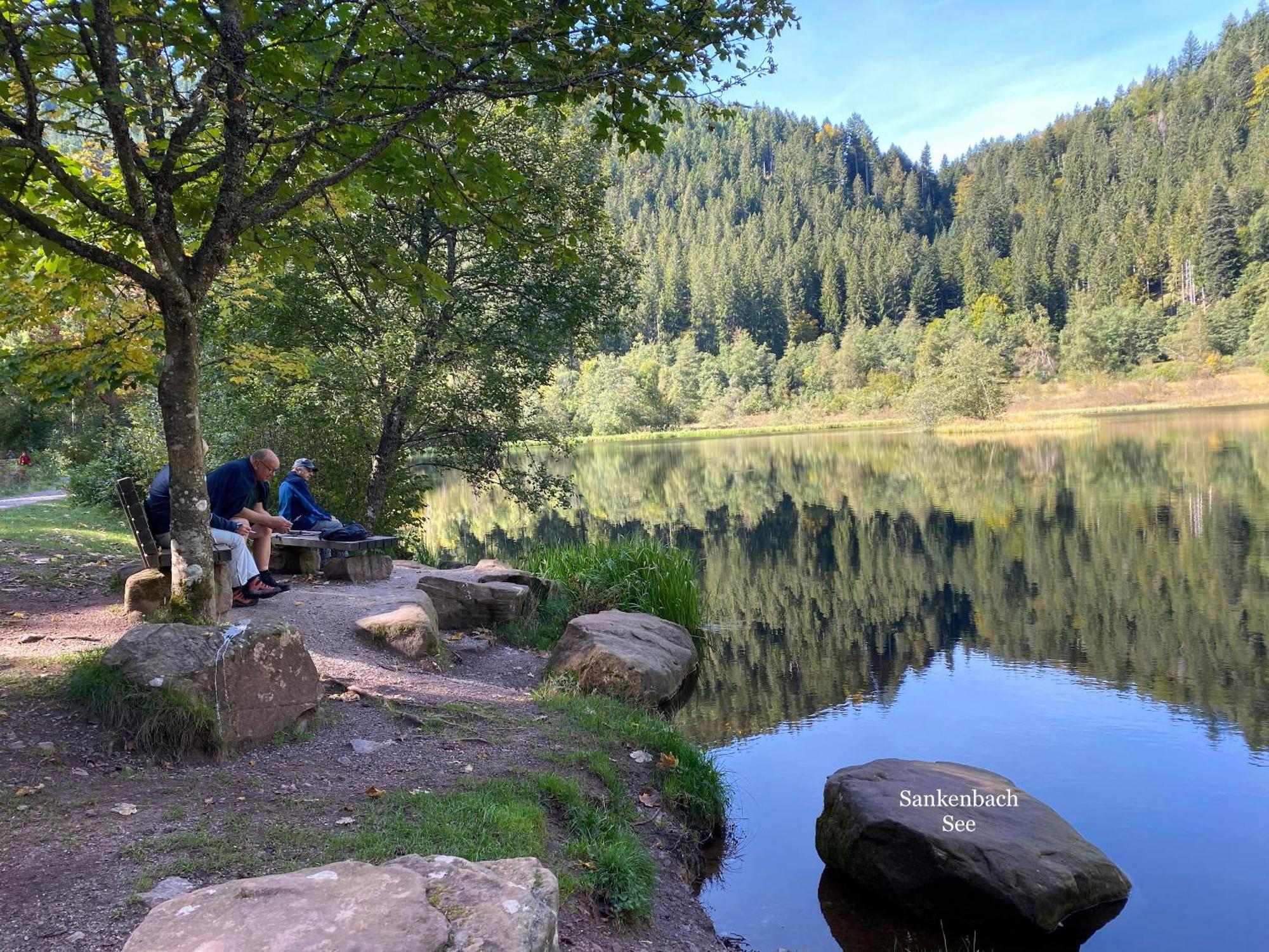 3- 2-1 - Raum - Dieter Hoffmann Freudenstadt-kniebis Beim Nationalpark *