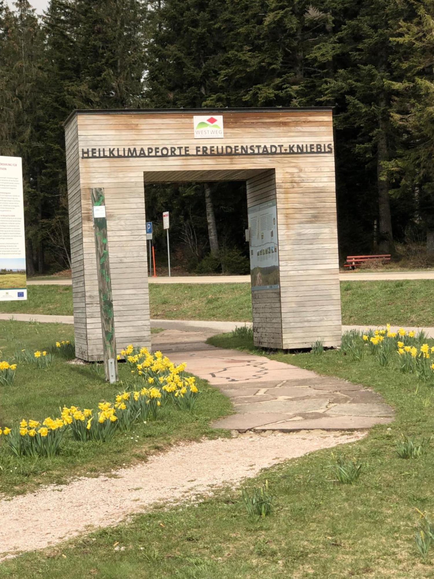 3- 2-1 - Raum - Dieter Hoffmann Freudenstadt-kniebis Beim Nationalpark * Freudenstadt