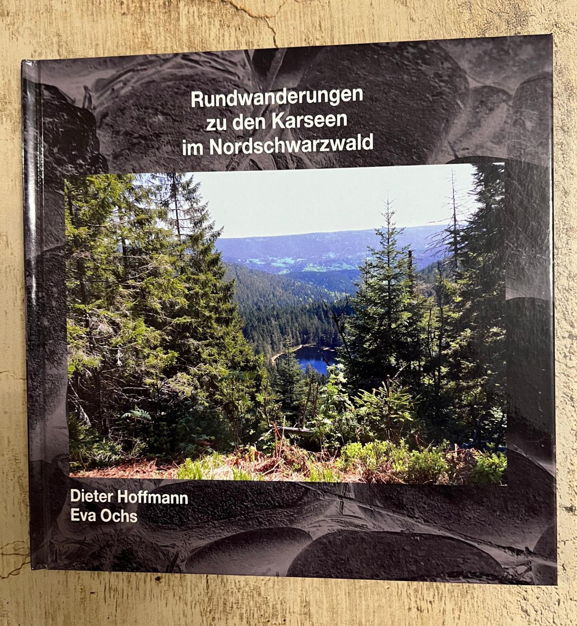 3- 2-1 - Raum - Dieter Hoffmann Freudenstadt-kniebis Beim Nationalpark Appartement *