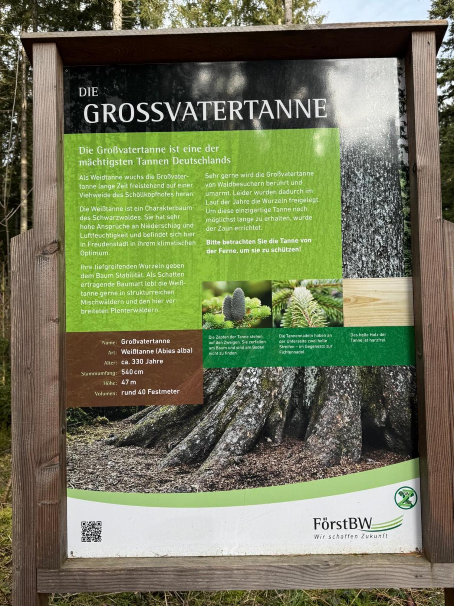 Appartement 3- 2-1 - Raum - Dieter Hoffmann Freudenstadt-kniebis Beim Nationalpark *