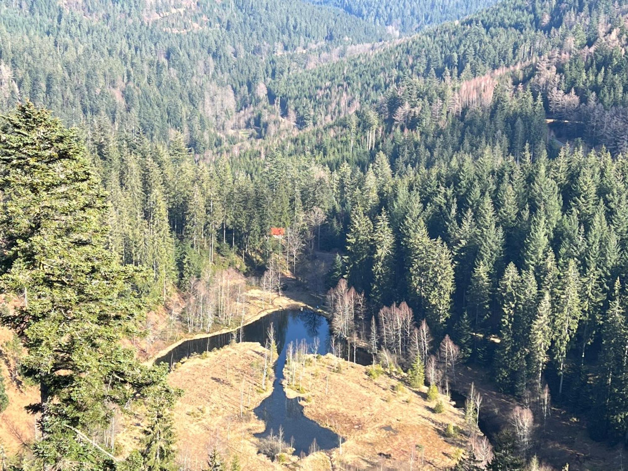 3- 2-1 - Raum - Dieter Hoffmann Freudenstadt-kniebis Beim Nationalpark *
